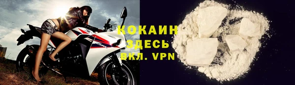 прущие грибы Богданович