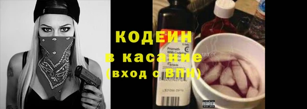 прущие грибы Богданович