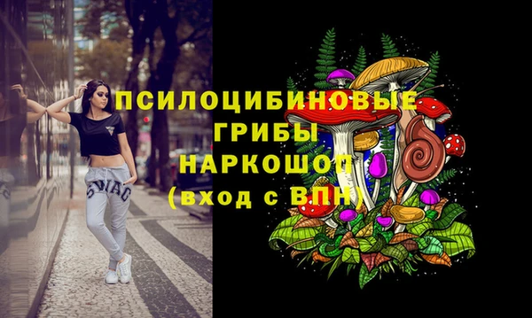 прущие грибы Богданович