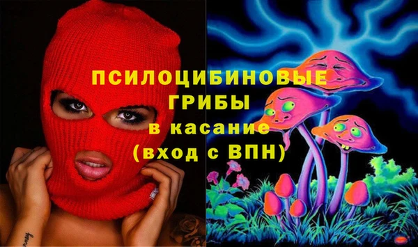 прущие грибы Богданович