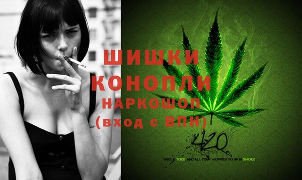 дурь Богородицк