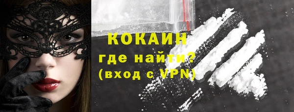 дурь Богородицк